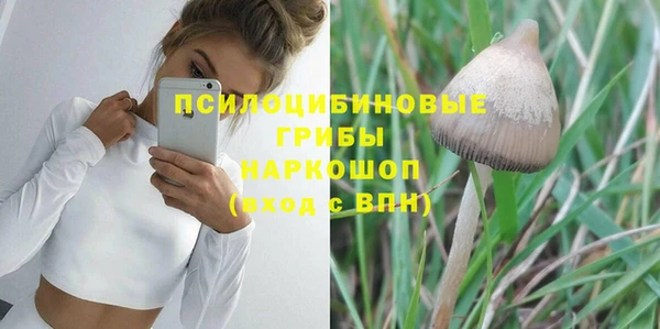 гидра Михайловка
