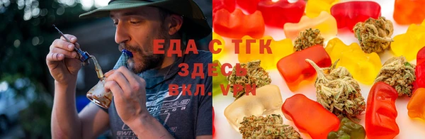 индика Михайлов