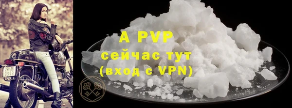 индика Михайлов
