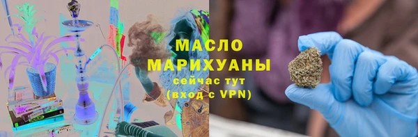 индика Михайлов