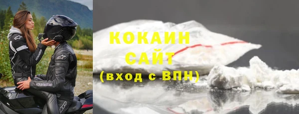 индика Михайлов