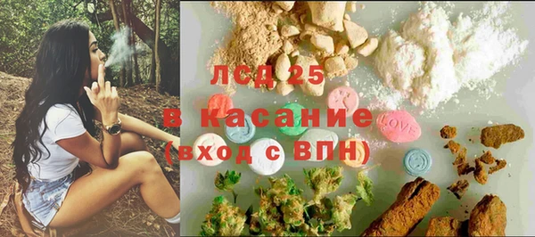 индика Михайлов