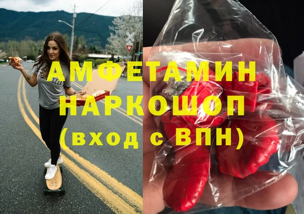 гидра Михайловка
