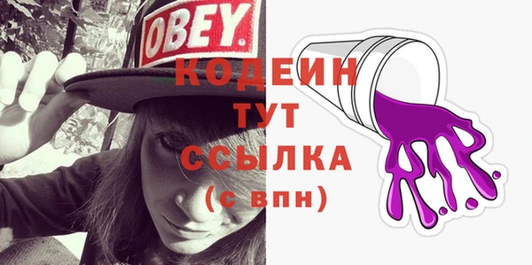 индика Михайлов