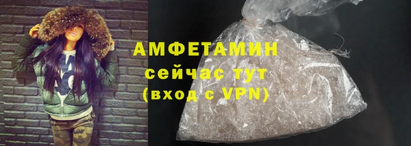 индика Михайлов