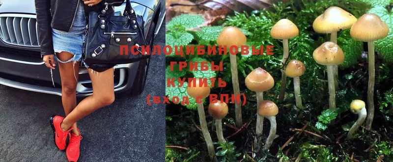 Галлюциногенные грибы Magic Shrooms  купить наркотик  Барнаул 