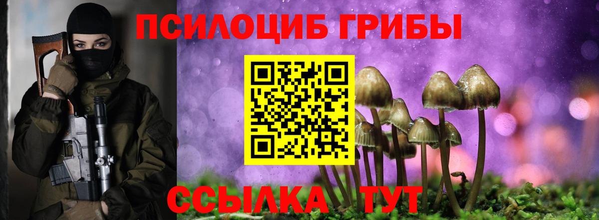 Псилоцибиновые грибы Psilocybe Барнаул