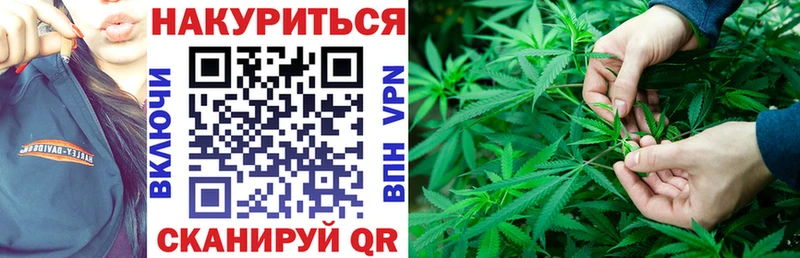 где продают наркотики  Барнаул  Бошки марихуана конопля 